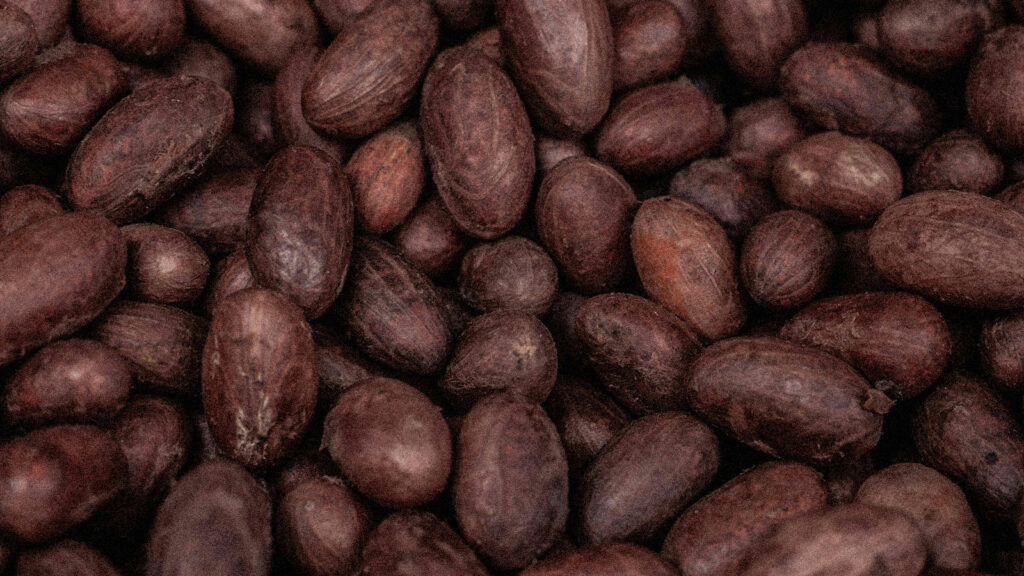 e-Vector Blog | Inicio